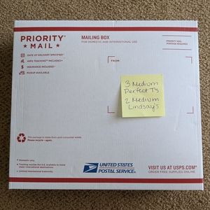 Mystery LuLaRoe Medium Bundle Perfect T & Lindsay